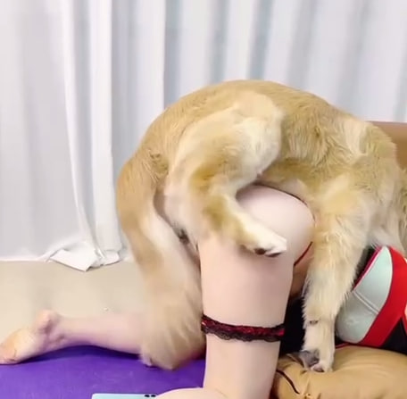 人兽性交-最新人兽性交的大作 3 国产人兽系列