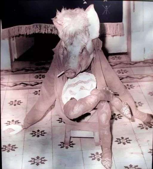 暗网中的恐怖图片